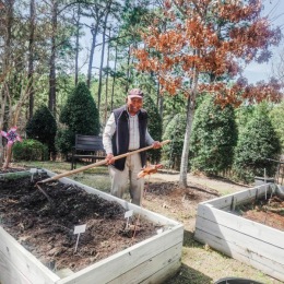 a man working in a garden