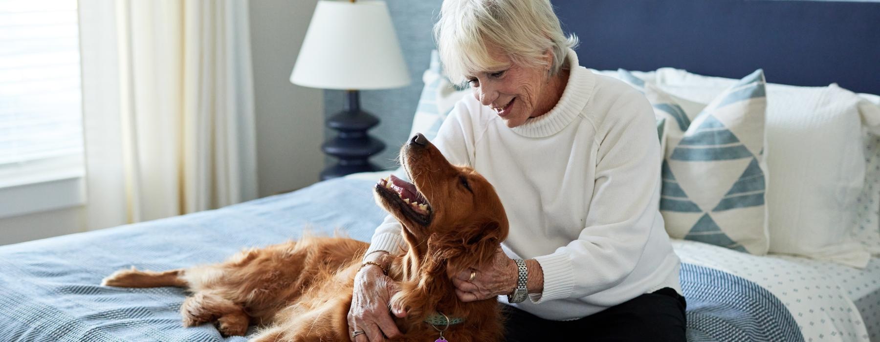 a person petting a dog