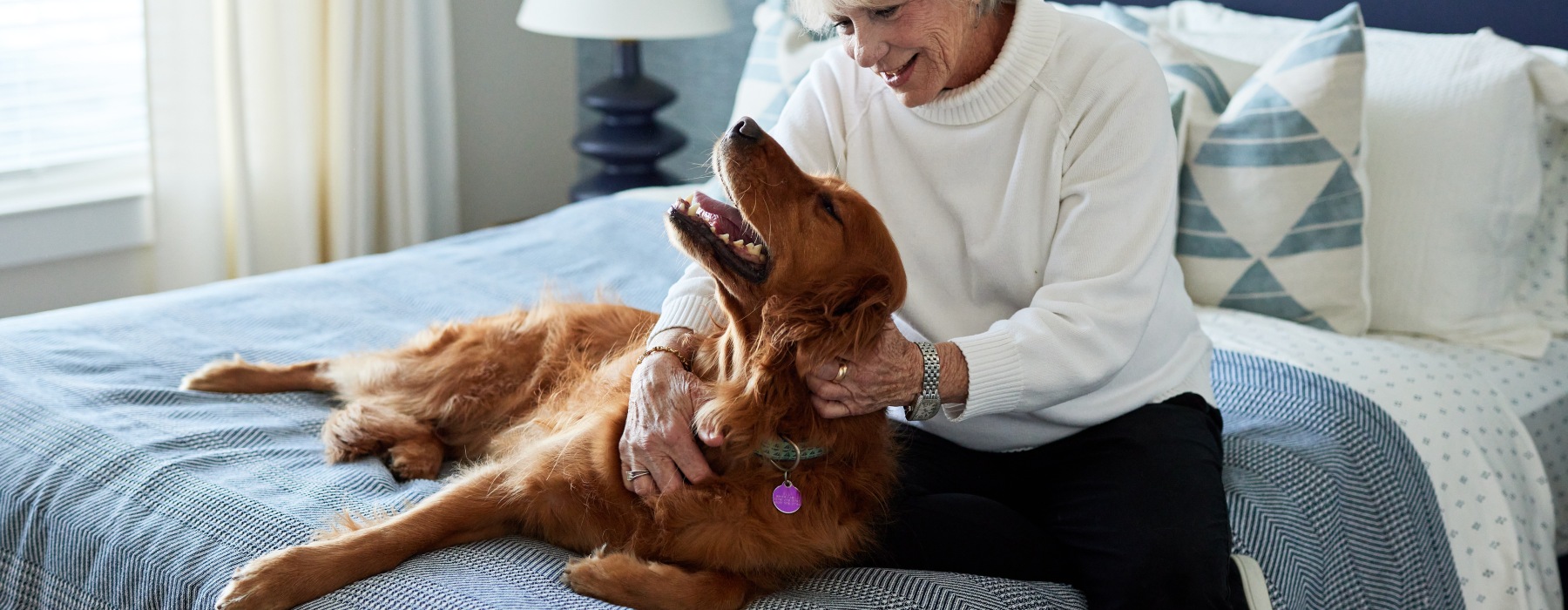 We welcome your furry friends